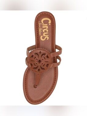 Circus by Sam Edelman Saddle Brown Leather Gladiator Thong Sandal